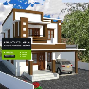 Perunthattlil villa